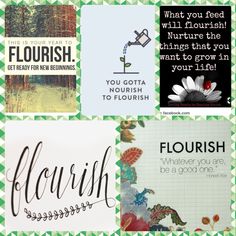 four different types of greeting cards with words on them in green and white squares,