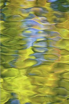 colorful water ripples on the surface metal print by panoramic images, inc