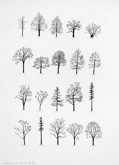 twelve trees are shown in black and white