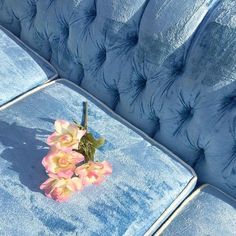 a bunch of pink flowers sitting on top of a blue couch with velvet upholstered