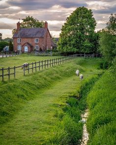 some sheep are grazing in the grass near a house and fenced in area with water running through it