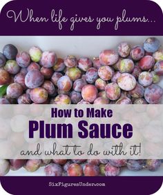 plums with the words how to make plum sauce and what to do with it