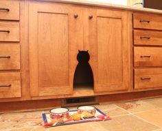 a cat hiding in the kitchen cabinet with its litter box on the floor next to it