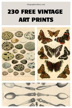 an image of butterflies and spoons with text overlay that reads, free vintage art prints