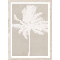 a white palm tree in front of a gray background with an old - fashioned frame