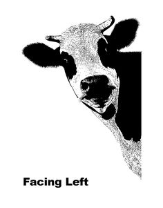 a black and white drawing of a cow's face with its tongue out looking at the camera