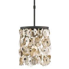 a chandelier with oysters hanging from it's black metal frame and glass shades