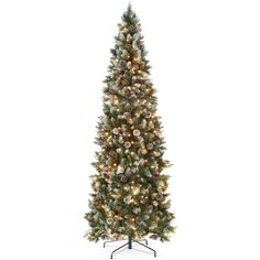 a christmas tree with white lights and pine cones on the top, in front of a white background