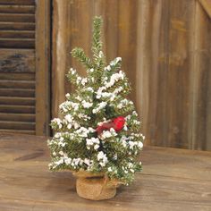 a small christmas tree sitting on top of a wooden table