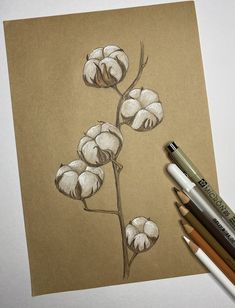 a drawing of some kind of flower on a piece of paper with colored pencils