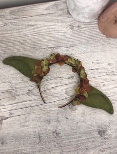 a close up of a plant on a wooden surface