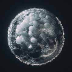 an overhead view of some white balls in a glass bowl