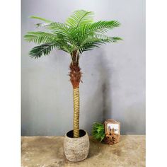 a palm tree in a pot next to a basket