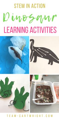 Dinosaur Provocations, Dinosaur Learning Activities, Dinosaur Centers, Preschool Activities Sensory, Backyard School, Dinosaur Preschool Activities