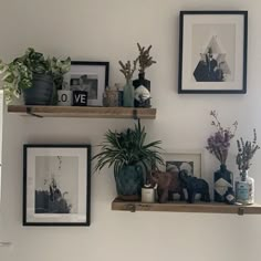 three wooden shelves with plants and pictures on them