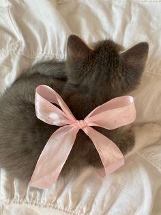 a gray kitten with a pink bow laying on a bed