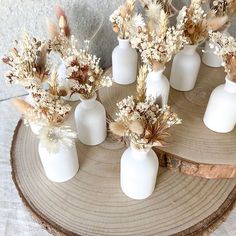 several white vases with dried flowers in them sitting on a tree stump, ready to be used as centerpieces