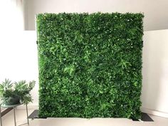 a large green wall with plants on it