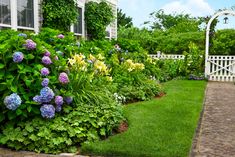 a lush green garden with blue and purple flowers in the front, next to a white picket fence