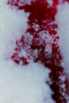 snow is covering the surface of a red car