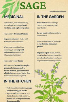 the sage herb info sheet is shown in green and blue colors, with instructions on how to use it