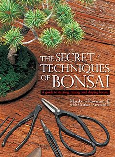 the secret techniques of bonsai book on wooden table with scissors and potted plant