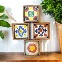 four colorful tile coasters sitting on top of a wooden shelf next to a potted plant