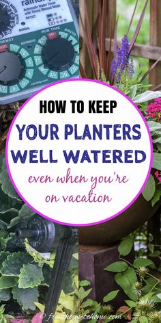 Container Watering: How To Keep Outdoor Planters Watered While You're On Vacation