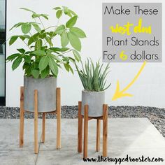 three planters with plants in them and the text 6 stylish standing planters for home