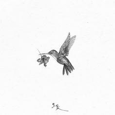 a black and white drawing of a hummingbird flying