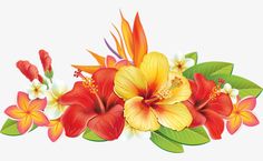 a bunch of flowers that are on a white background with green leaves and red and yellow flowers