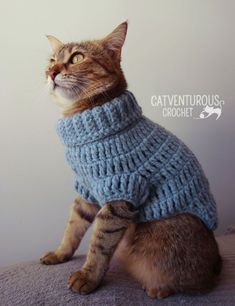 14 Free Crochet Cat Sweater Patterns Cat Sweater Pattern, Crochet Dog Hat, Kat Haken, Kitten Sweater, Dog Sweater Crochet Pattern, Crochet Cat Hat, Crochet Dog Sweater, Crochet Sweater Pattern Free, Sweater Patterns