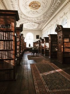 an old library filled with lots of wooden bookshelves covered in intricately painted ceilings