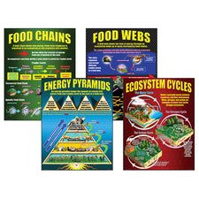 three posters showing food chains and energy pyramids