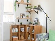 a living room filled with furniture and plants