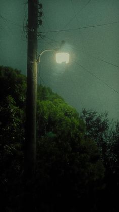 a street light sitting on the side of a road next to a lush green forest