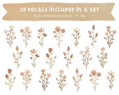 flowers and leaves drawn in watercolor with the words, 20 decals included in a set