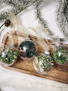 three glass ornaments are sitting on a wooden board with pine cones and greenery in them