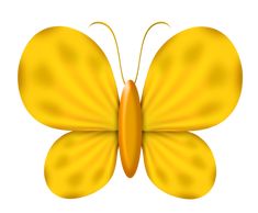 a yellow butterfly on a white background with the wings folded back to reveal an image