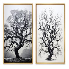 two black and white paintings with trees in them