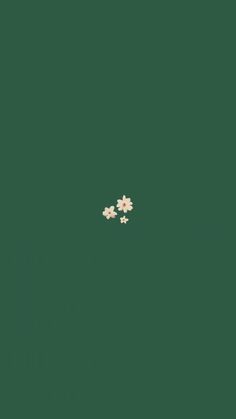 two small white flowers floating on top of a green surface in the middle of an image