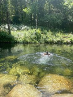 a person swimming in a river surrounded by rocks