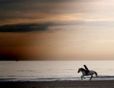 a person riding on the back of a white horse down a beach next to the ocean