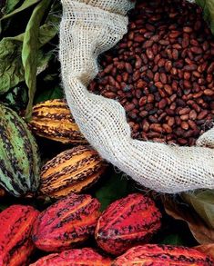 cocoa beans and other fruits are in a sack next to each other on the ground