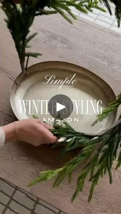 someone is holding a plate with pine branches on it and the words simple winter styling