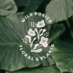 the logo for wild posies floral and plants is shown on a leafy plant