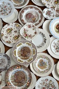 many plates with turkey designs on them