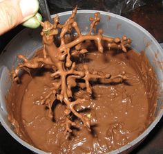 someone is dipping some chocolate into the batter