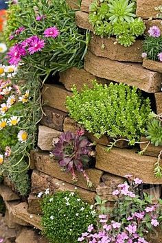 a wall made out of bricks with flowers growing on it and plants growing in the middle