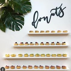 there is a display of donuts on the wall in front of some plants and a sign that says donuts